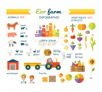 Eco farm infographic vector elements. Flat design. Collection of traditional farming icons. Animals, vegetables, agriculture machines and buildings. Circle and column diagrams.