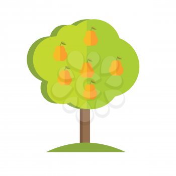 Pear tree with fruits icon. Vector illustration in flat style design. Plant pattern for environment, gardening, farming, business growing concepts. Isolated on white background. 