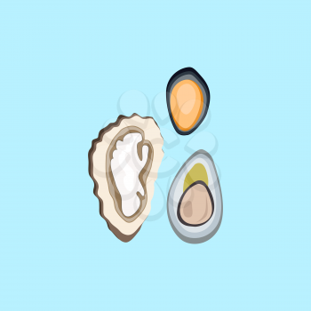 Oysters patterns in color. Seafood concept icons in flat style design. Vector illustration fresh sea oyster. Healthy eating marine products.