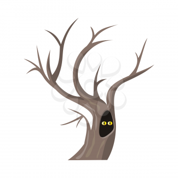 Isolated oak tree without leaves. Bare oak tree with hollow. Two eyes of an animal looking from hollow. Tree forest, leaf tree isolated, tree branch, plant eco branch tree. Autumn tree without leaves