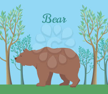 Funny brown bear on background of forest. Brown bear walking on grass in forest. Animal adorable brown bear vector character. Charming brown bear. Wildlife character