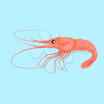 Shrimp vector pattern. Flat style design. Fresh sea shrimp concept. Seafood illustration for packaging, logos, and patterns. Healthy eating marine products. Bright red shrimp on blue background.