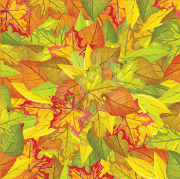 Seamless pattern with autumn leaves. Autumnal nature background with maple and birch leaves. Wallpaper and textile design. Repeatable illustration in fall foliage concept. Floral leaf decor. Vector