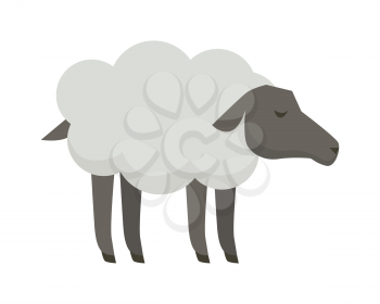 Sheep illustration. Vector in flat style design. Domestic animal. Country inhabitants concept. Picture for farming, animal husbandry, wool and meat production  companies. Isolated on white background.