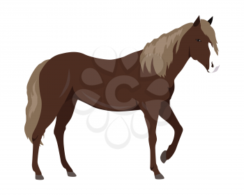 Sorrel horse with white muzzle vector. Flat design. Domestic animal. Country inhabitants concept. For farming, animal husbandry, horse sport illustrating. Agricultural species. Isolated on white