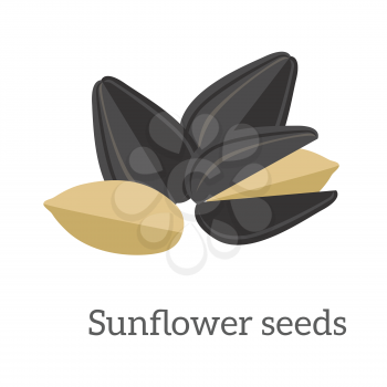 Illustration of sunflower seeds. Ripe sunflower seed in flat. Several sunflower seeds. Healthy vegetarian food. Isolated vector illustration on white background.