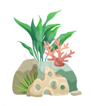 Vegetation green and coral plants with broad leaves foliage. Stone holes made by water. design of aquarium interior isolated on vector illustration