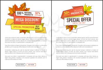 Promo autumn or fall discount half price advertising online web posters foliage orange leaves vector. Limited time buy now super offer autumnal sale