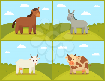 Set of domestic animals color vector illustration, pets on glade with round hills, horse with goat cow and donkey on sunny meadow, green rural nature
