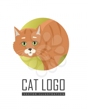 Aggressive or frightened red cat with arched back flat vector illustration isolated on white background. Domestic animal emotions and behavior. For pet shop ad, animalistic hobby concept, breeding