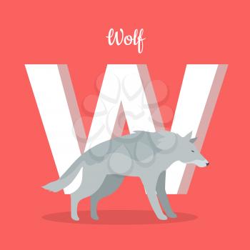 Animals alphabet. Letter - W. Gray wolf stands near letter. Alphabet learning chart with animal illustration for letter and animal name. Vector zoo alphabet with cartoon animal on red background