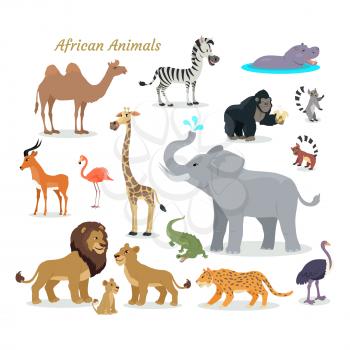 African fauna species. Cute african animals flat vector. Southern predators. Camel, zebra, rhino, gorilla, koala, deer, flamingo, giraffe elephant crocodile tiger lion lion cheetah ostrich