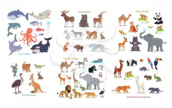 Ocean animals. Forest animals. Asian animals. Australian animals. African animals. South american animals. Set of vector cartoon creatures from doffernt continents. Illustrations in flat style