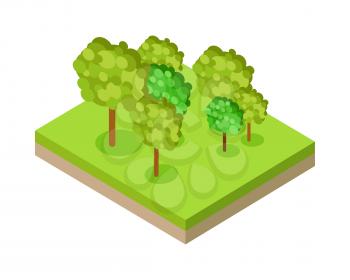 Forest or park fragment in isometric projection. Nature landscape block with group of trees on lawn and ground layer. For gaming environment, infographic, icon design. Isolated on white background