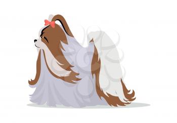 Maltese or yorkshire terrier breed dog with long hair and bow tie on head. Flat design vector. Domestic friend and companion animal illustration. For pet shop ad, hobby concept, breeding illustration