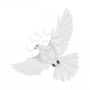 Pigeon vector. Religion, wedding, peace, pacifism, concept in flat design. Illustration for religion attributes, childrens books illustrating. White pigeon flying wings spread isolated on white.