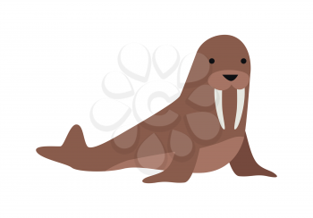 Walrus flat style vector. Wild herbivorous animal. North fauna species. For nature concepts, children s books illustrating, printing materials. Isolated on white background