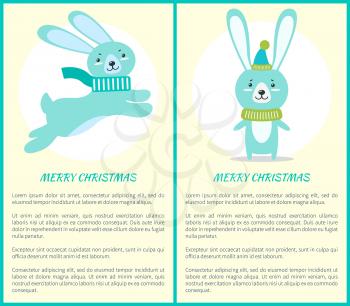 Merry Christmas greeting card fluffy rabbits with long ears, small tail in warm scarf jumps up and sit isolated vector illustration, funny forest hares