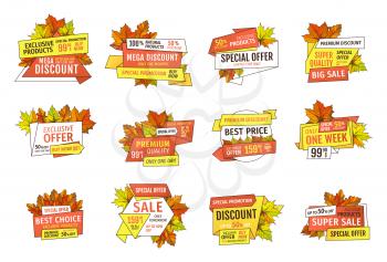 Sale emblems with info about prices and oak, maple and birch leaves isolated set. Discount tags and wholesale signs, autumnal promo badges vector icons