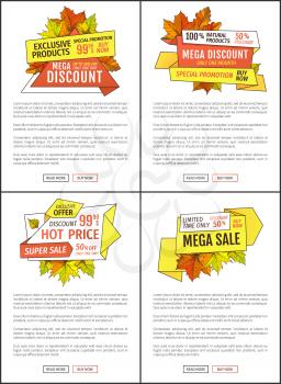 Super sale promo posters with maple leaves, oak foliage autumn symbols on advert leaflet. Exclusive offer only one day on Thanksgiving special price 99.90