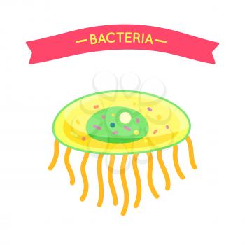 Bacteria poster with microorganism cell and red banner. Organism pathogen harmful cell with core. Germ icon small molecule closeup isolated  vector
