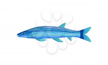 Mackerel blue color fish. Gill-bearing aquatic craniate animals that lack limbs with digits. Long marine organism lives in water vector illustration