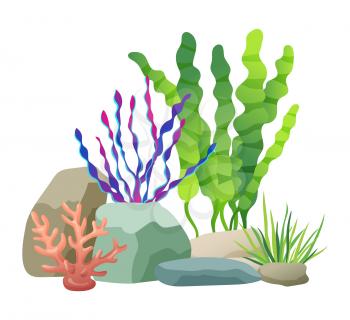 Seaweed rocks and plants set. Marine life flora green and purple vegetation. Long leaves glowing in freshwater or sea isolated on vector illustration