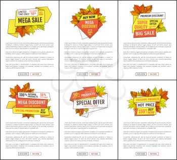 Set of mega sale autumn fall price off coupons with foliage and green and orange leaves vector. Limited time only buy now discount promo online posters