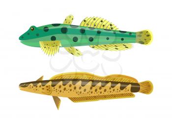 Rainbow trout with green dotted fish. Species of limbless animals. Freshwater creatures dorsal fins, gills and eyes isolated on vector illustration