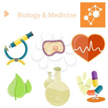 Biology and Medecine poster. Molecule scheme with microscope, zoomed bacterium, heart and cardiogram, green leaves, flasks and pills vector illustrations.