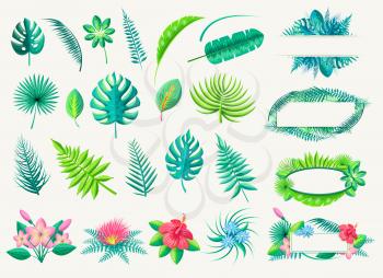 Tropical leaves and exotic flowers vector collection on white and empty line space for writing in plant or blossom frames