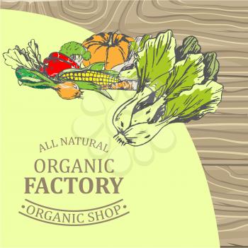 Organic factory shop poster with Chinese cabbage, ripe pumpkin, corn cobs, sweet pepper, healthy carrot, fresh onion and greens vector illustration.