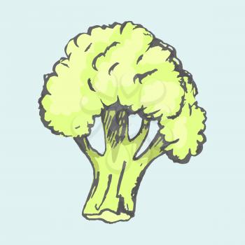 Big green broccoli vegetable isolated on light blue background. Vector closeup poster of seasonal cabbage kind with many vitamins