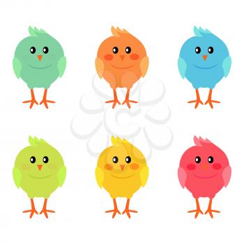 Colorful fluffy spring chickens set isolated on white background. Mascot symbols of Easter celebration vector illustration. Friendly feast animal to make religious holiday attractive to children.