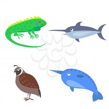 Vector illustration of green iguana, sharp-nosed narval and xiphias, brown quail on practicing images. Kindergarten educational material. Set of four wild animal for children on white background.