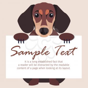 Dachshund holds signboard with text isolated on peach background. Funny small decorative dog breed vector illustration. Cartoon smooth-haired domestic animal with long body and playful character.