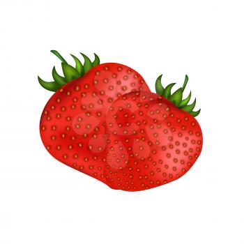 Ripe fresh red strawberries isolated on white. Summer sweet healthy fruit with outside seeds. Vector colorful illustration in flat style with two whole strawberries full of vitamins and minerals