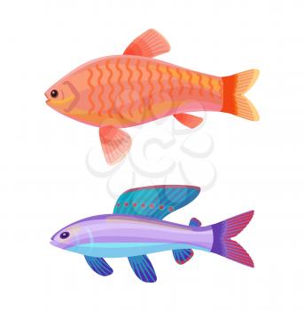 Aquarium goldfish with comet-like tail and unusual blue creature with red spotted dorsal fin cartoon vector illustration. Colorful depiction on white.