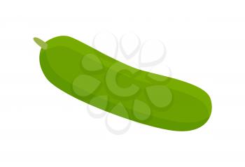 Cucumber of green color, supermarket product, natural and tasty plant, healthy food for people, vector illustration isolated on white background