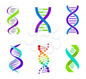 Colorful DNA spirals bright vector illustration with curved strands pair linked by straight lines different shape DNA cells isolated on white backdrop