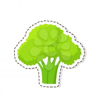 Ripe vegetable sticker or icon. Green broccoli flat vector isolated on white background. Vegetarian food illustration outlined with dotted line