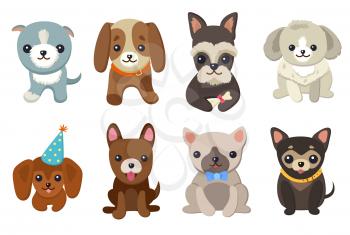 Dogs and puppies collection, poster with pets, of different breeds, pug and basset hound, labrador and chihuahua, dachshund dog on vector illustration
