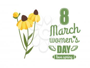Daisy flowers, greeting postcard decorated by yellow blossom. Womens international day, love spring, colorful plant on white, 8 March festive vector