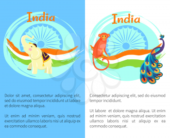 Gorgeous peacock, funny monkey, elephant with raised trunk, national flag symbol with wheel vector illustrations India symbols on posters set.