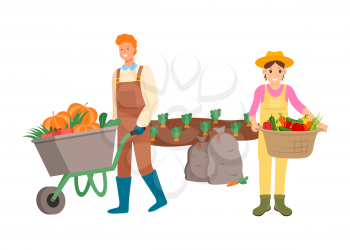 Farmers with fruits and vegetable vector, plantation of carrots and pumpkin, pepper and tomato in woven basket farming people man woman working together