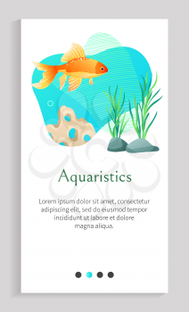 Aquaristics vector, fish in sea water swimming along stones with foliage of green seaweed and flora of underwater, aquarium with decoration. Website or app slider template, landing page flat style