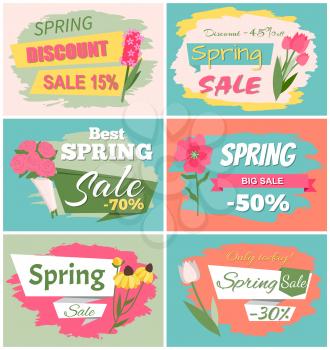 Sale, discount and best offer, label with rose, lilac and violet, daisy bouquet. Advertisement decorated by flowers, greeting for ladies vector. Early spring and summer flower for wedding