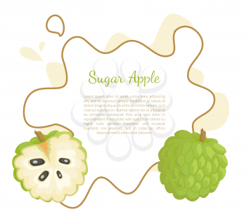 Sugar-apple, sweetsop, or custard apple, Annona squamosa, exotic juicy fruit vector poster frame and text. Tropical edible food, dieting vegetarian banner