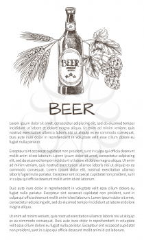 Bottled beer with wheat and hop decoration monochrome vector illustration in sketch style, brew house poster with text sample on white background.