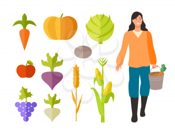 Harvesting season vector, isolated woman holding bucket with carrots. Flat style cabbage and tomato, beetroot and grapes, wheat and corn ingredients